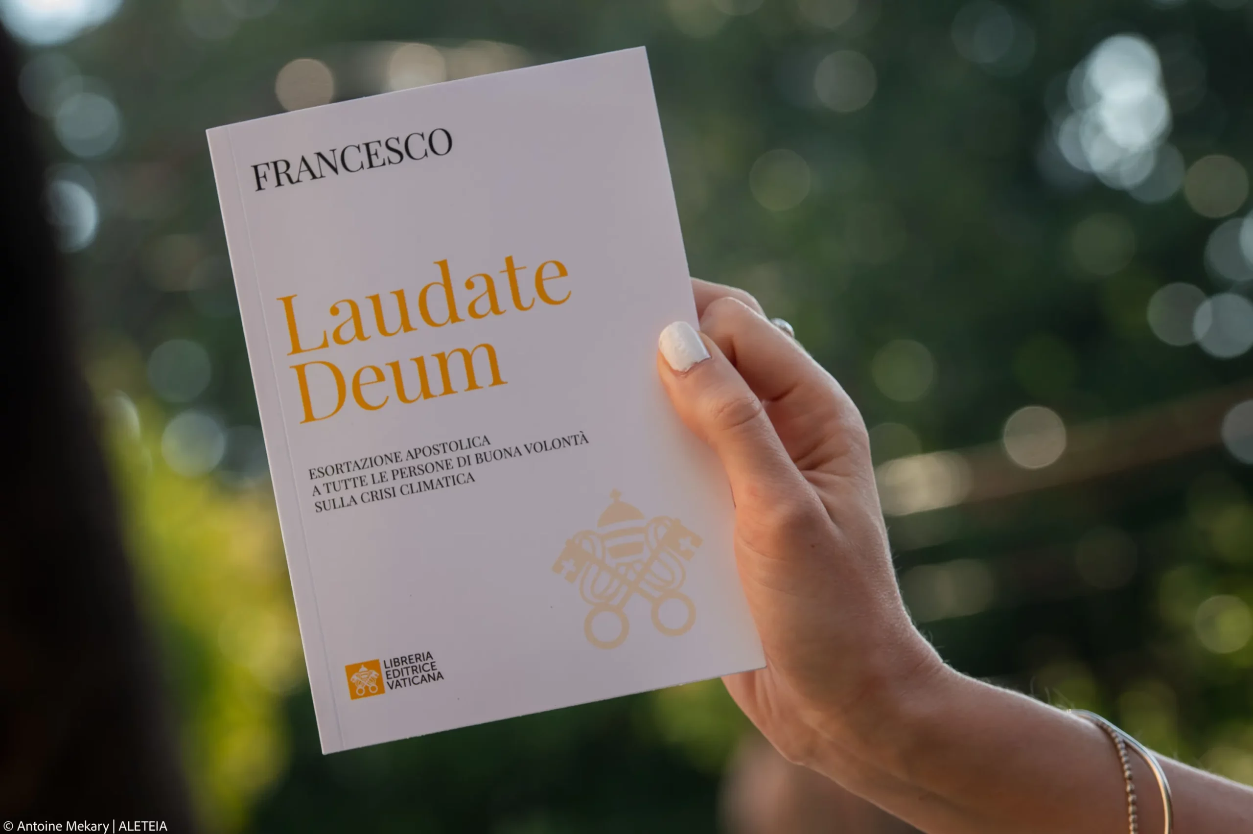« Laudate Deum » : le manifeste très politique du pape François face à l’urgence climatique