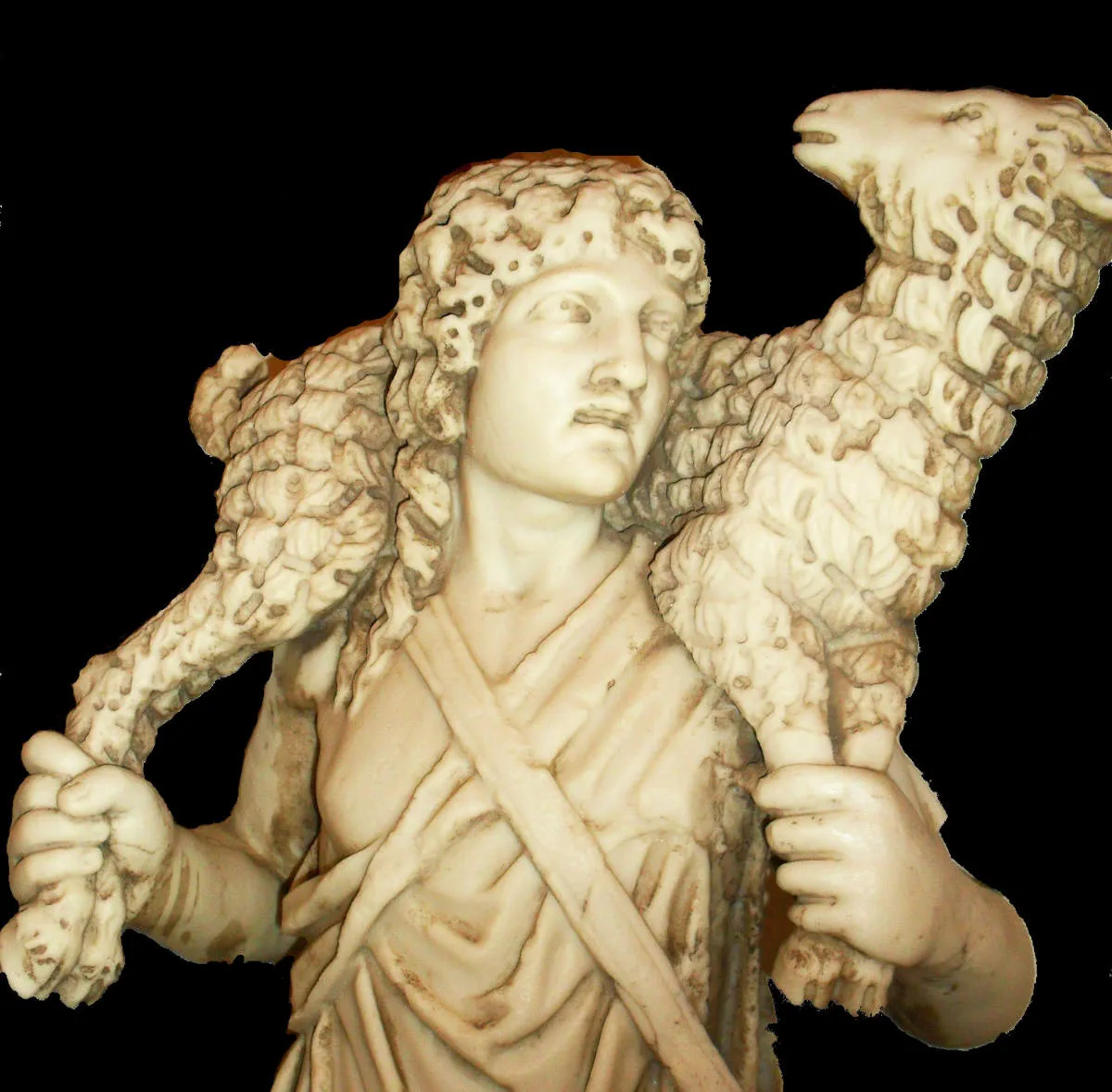 La porte des brebis